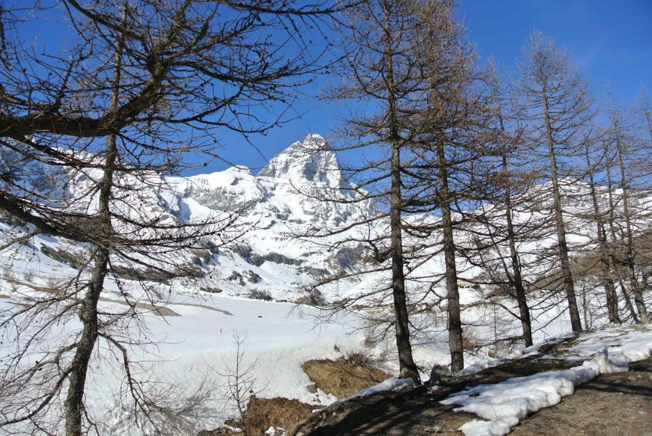 President Palace - Breuil Cervinia -Appartamento 6 - Cir 0634 מראה חיצוני תמונה